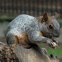 DSCF0942