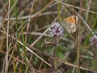 P9030342