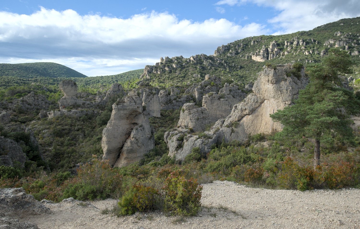 Vue d'ensemble