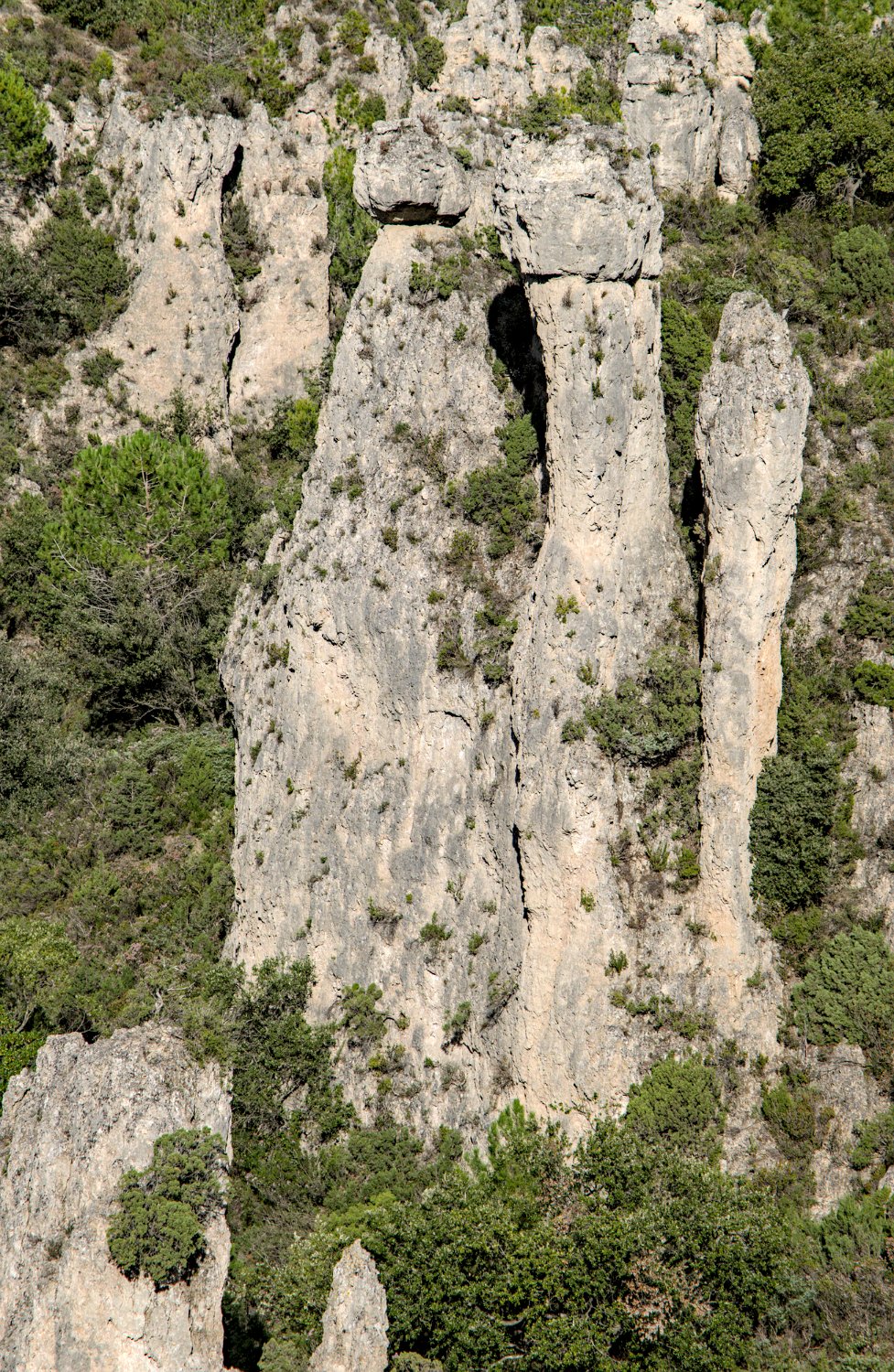 Rochers et formes