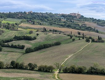 DSCF9174