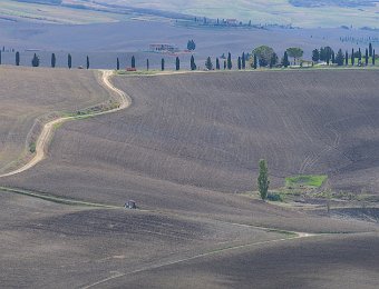 DSCF9176