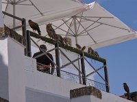 Eleveur de rapaces